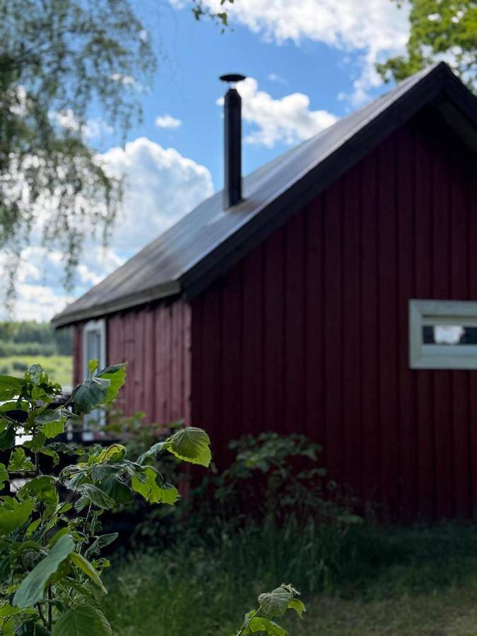 Pakuļu kūrorts - namiņš bez elektrības in Gmina Saldus, Kurlandia