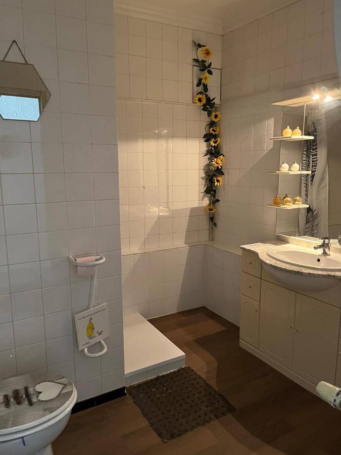 Gîte pour 6 personnes, avec vue ainsi que terrasse et piscine, animaux acceptés à Villard-Saint-Sauveur