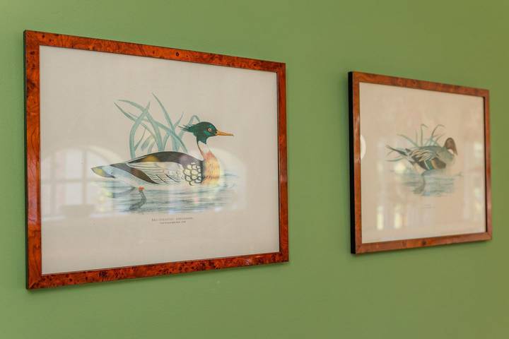 Ferienhaus für 6 Personen, mit Sauna und Garten auf Föhr - 4