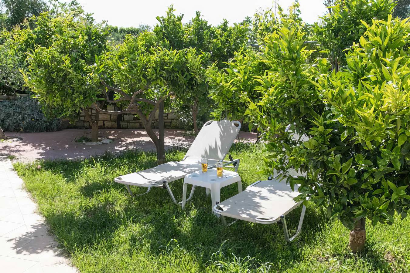 Afroditi 4 in Pigouniana, Rethymno en omgeving