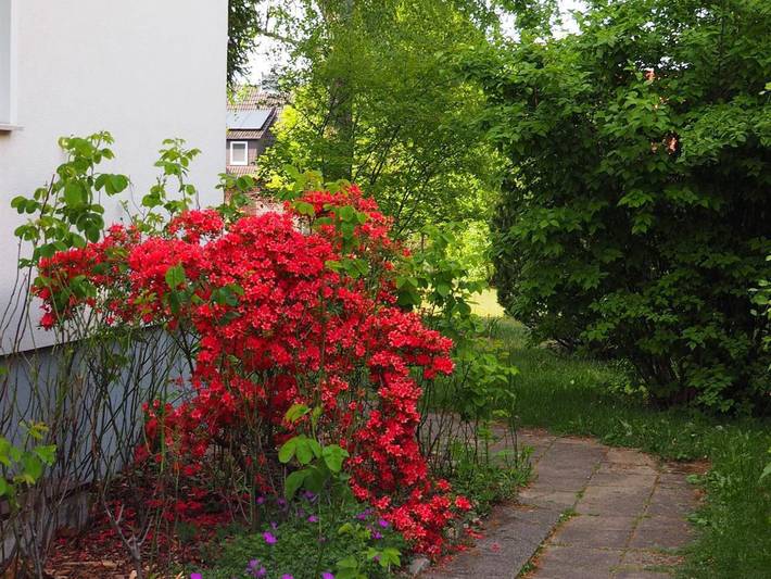Ferienwohnung für 5 Personen, mit Terrasse und Garten in Neuenkirchen (Lüneburger Heide) - 4