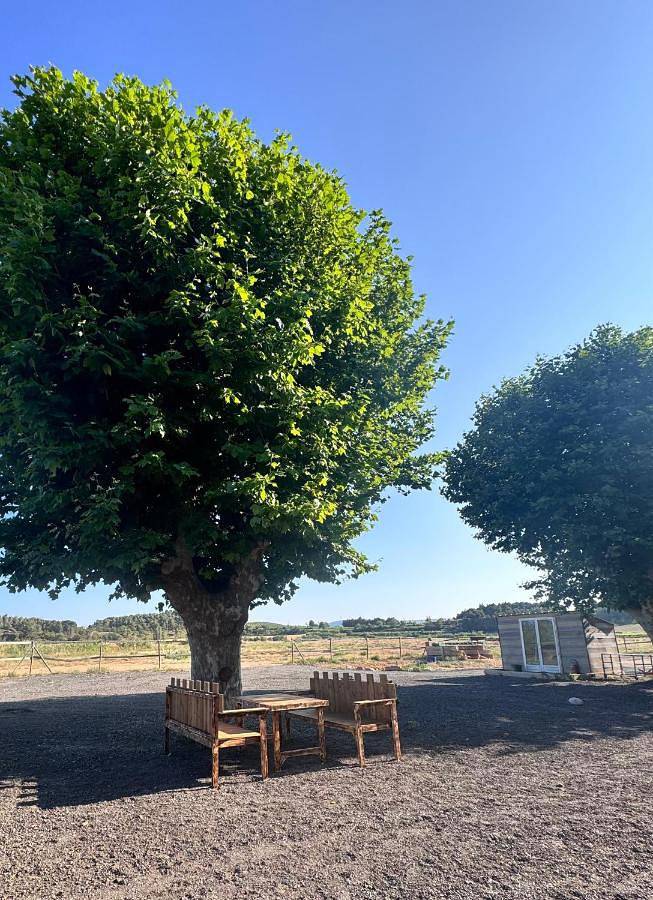 Gîte pour 2 personnes, avec terrasse et jardin dans Réserve africaine de Sigean - 2