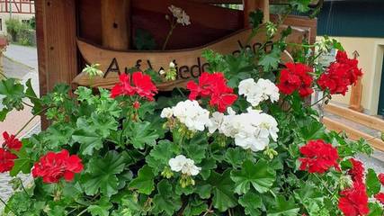 Ferienwohnung für 4 Personen in Sebnitz, Elbsandsteingebirge, Bild 4