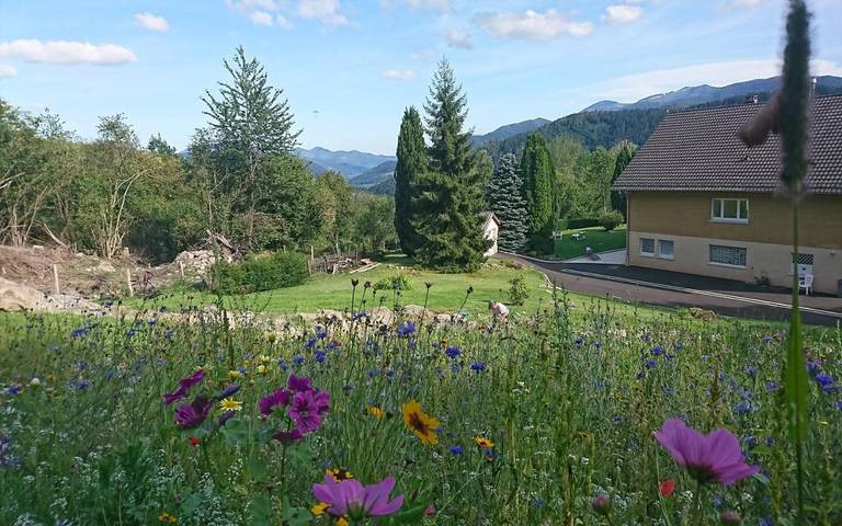 Gîte pour 7 personnes, avec vue et jardin à Fellering - 4