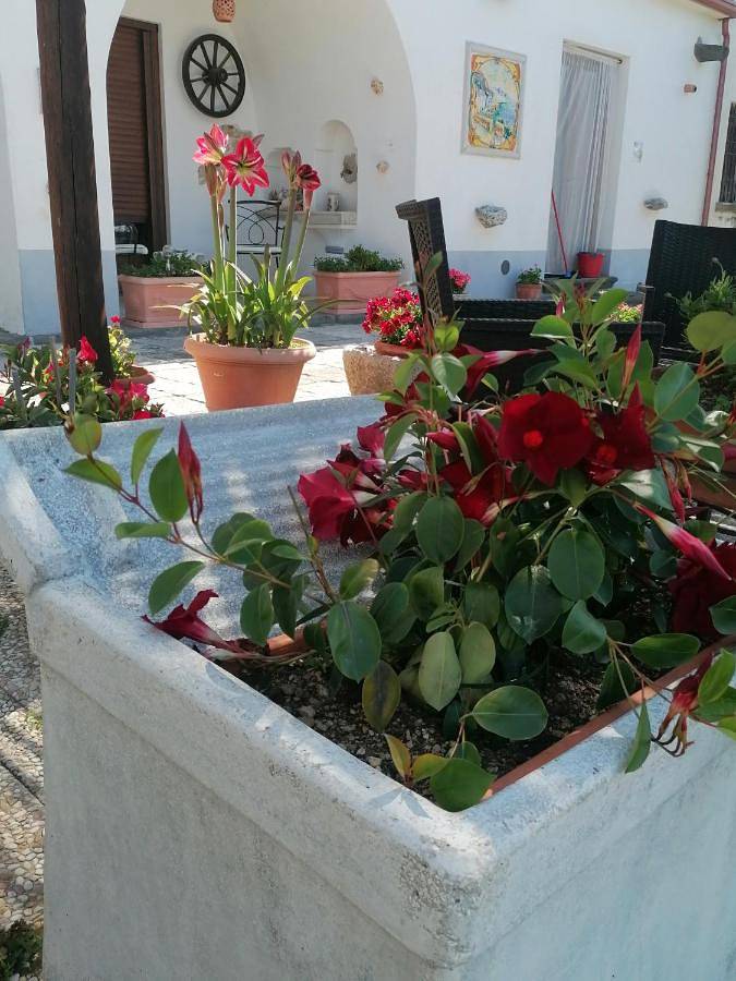 Location de vacances pour 3 personnes, avec vue ainsi que balcon et jardin à Agerola - 3