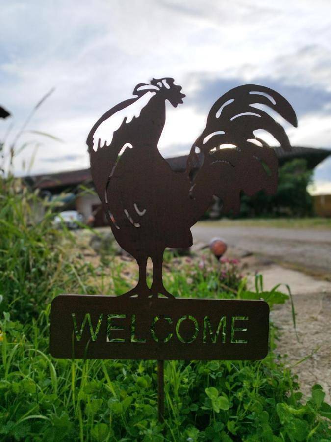 Chambre d’hôte pour 2 personnes, avec balcon et piscine dans le Jura - 2