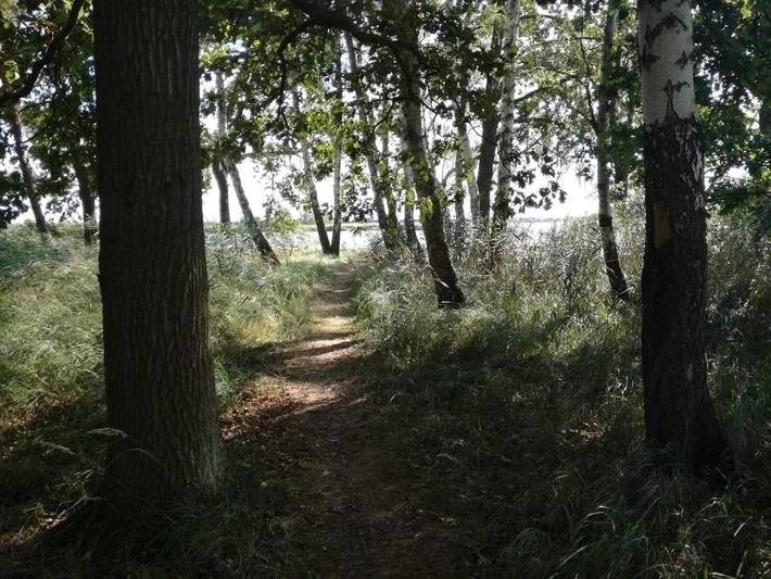 Camping für 4 Personen, mit Seeblick und Pool sowie Garten, mit Haustier im Stettiner Haff - 4
