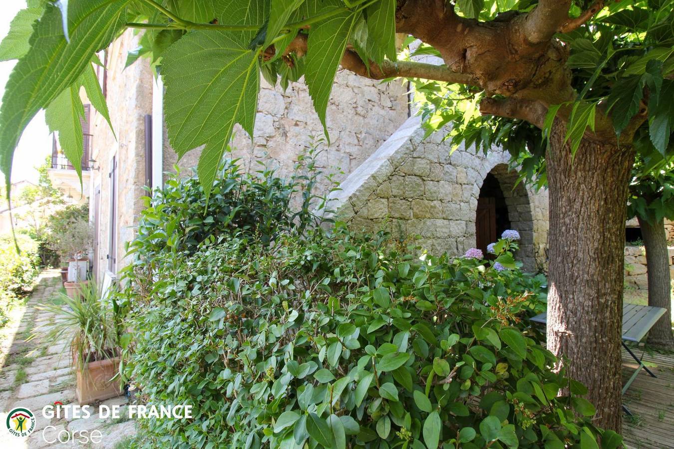 Le Cedrat Un in Casaglione, Ajaccio region