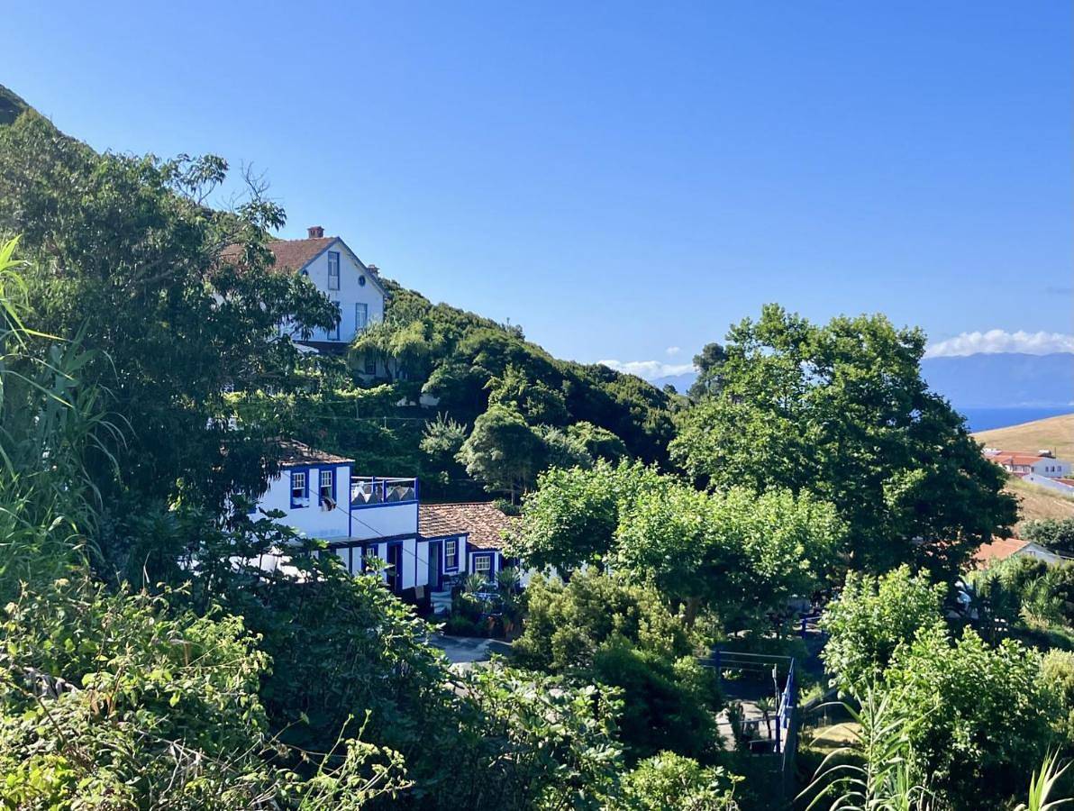 Quinta Do Canavial in Velas, São Jorge (Portugal)