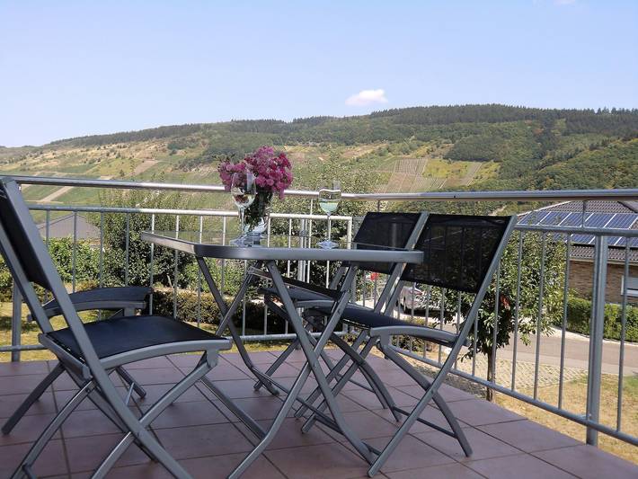 Ferienwohnung für 4 Personen, mit Terrasse und Garten, mit Haustier in Schweich an der Römischen Weinstraße