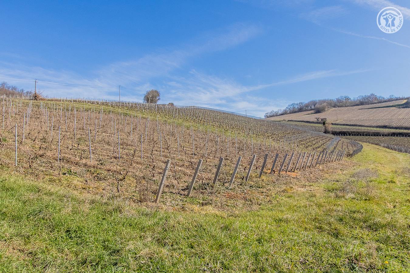 Au Petit Bonheur Chez Bambina in Leynes, Mâcon und Umgebung