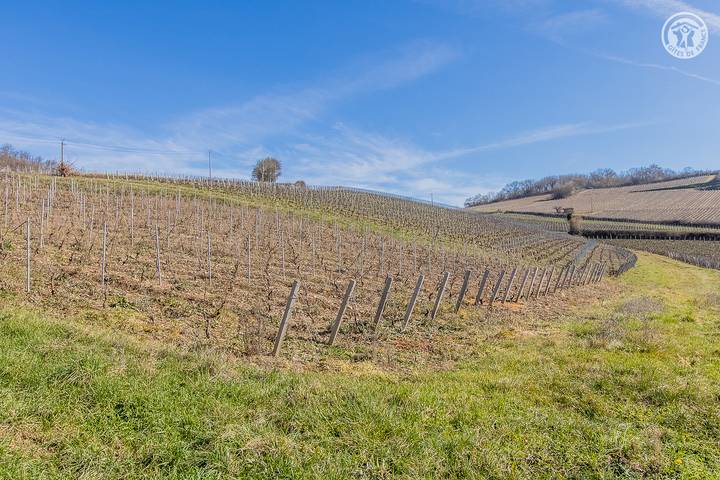 Gîte pour 4 personnes, avec jardin à Leynes - 4