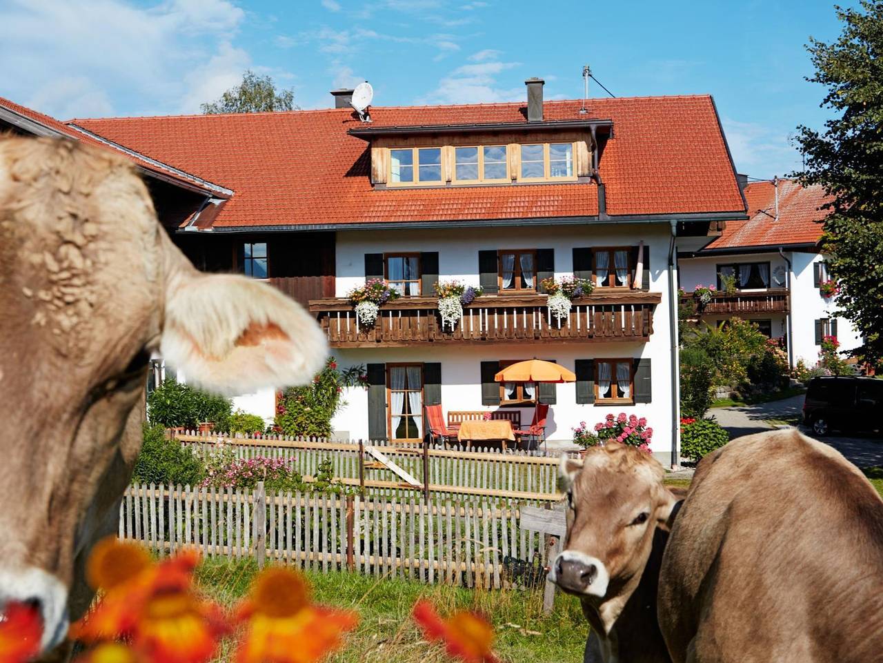 Ganze Ferienwohnung, Kögel, Ferienhaus - Ferienwohnung Zugspitz, 1 Schlafzi., Bad/Du/Wc in Nesselwang, Bayerisch Schwaben
