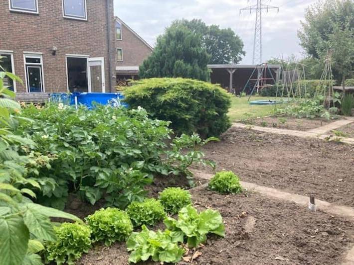 Gîte pour 7 personnes, avec piscine et jardin à Deventer - 4