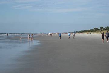 Beach Rental for 8 Guests in Sea Pines, South Carolina Lowcountry, Picture 3