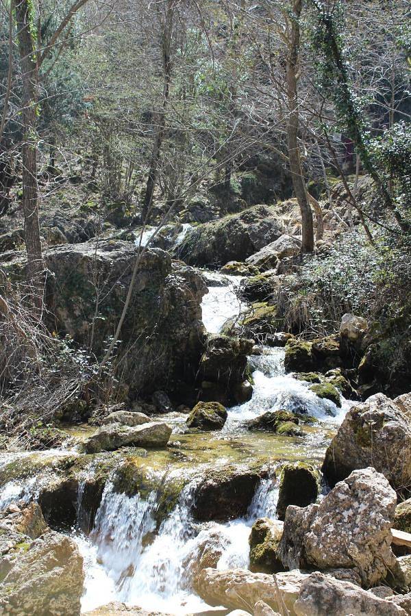Casa rural para 10 personas, con jardín además de piscina y vistas en Los Calares del Mundo y de la Sima - 4