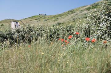 Ferienhaus für 2 Personen in Callantsoog, Nordholland, Bild 4