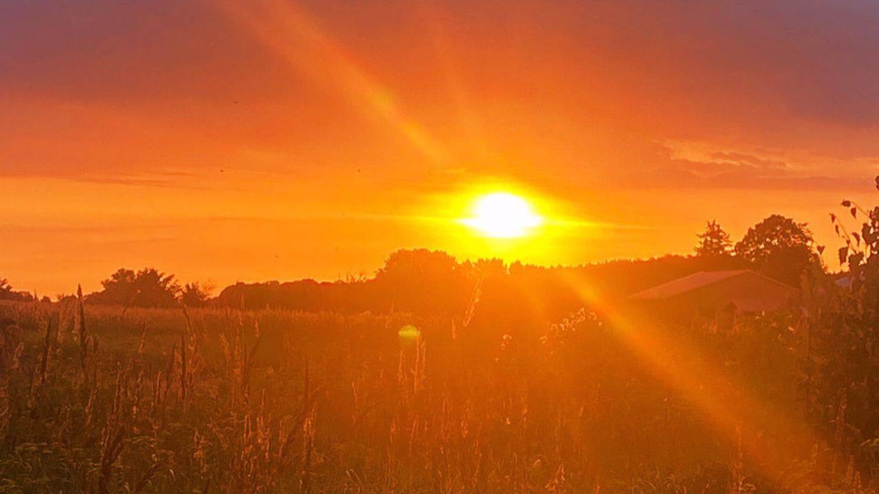 Ganze Ferienwohnung, Ferienwohnung für 6 Personen (115 m²) in Dreschvitz in Dreschvitz, Rügen