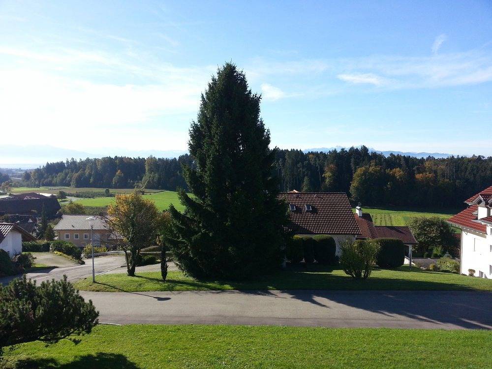 Ganze Ferienwohnung, Ferien- und Obsthof Franz Martin - Säntis, 60qm, 2 Schlafzimmer, max. 4 Personen in Wasserburg (Bodensee), Bayerisch Schwaben