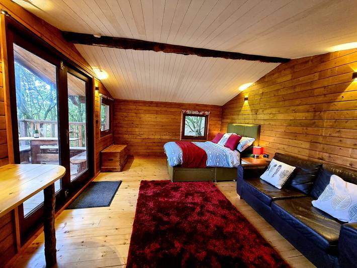 Tree House in Cardigan Bay