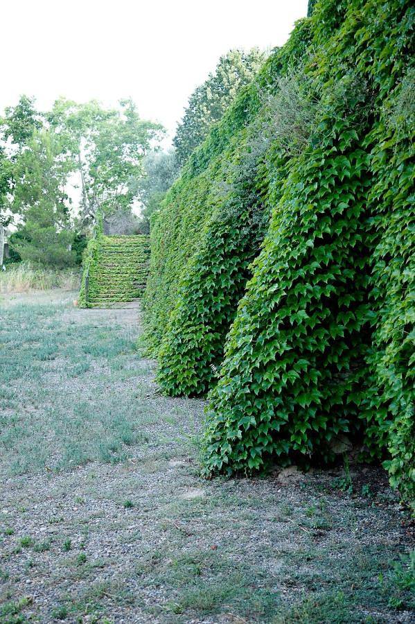 Maison de campagne pour 16 personnes, avec jardin ainsi que vue et piscine, animaux acceptés à Reus - 4