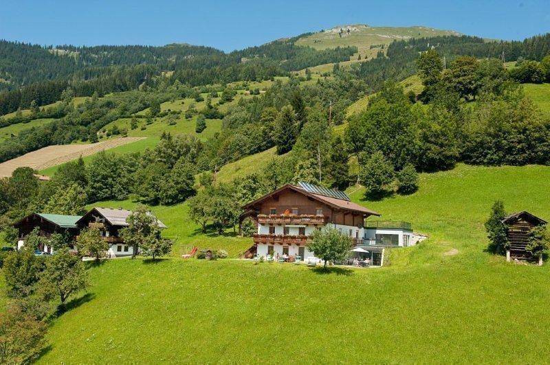 Ganze Ferienwohnung, Ferienwohnung Hartlbauer in Dorfgastein in Dorfgastein, Ski Amadé