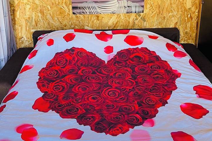 Gîte pour 2 personnes, avec terrasse et jacuzzi ainsi que sauna et jardin à Halluin - 2