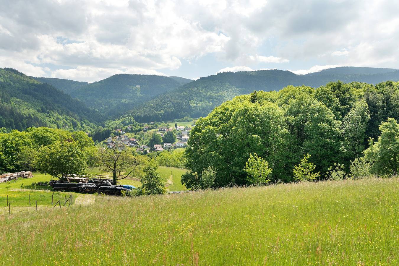 Apartamento entero, Apartamento 'Luftige Auszeit' con vistas a la montaña, terraza privada y jardín in Bühlertal, Selva Negra Central