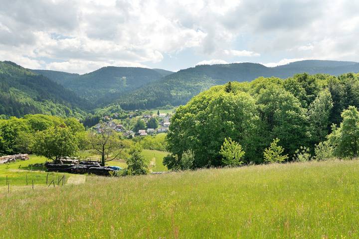 Ferienwohnung für 3 Personen, mit Garten in Bühlertal - 3