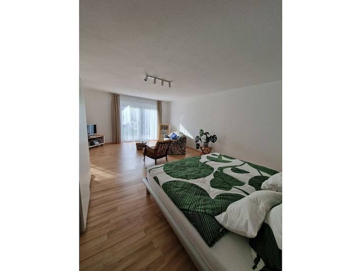 Ferienwohnung mit 1 Schlafzimmer in Ketsch, Rheinebene