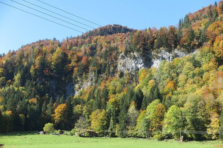 Ganze Ferienwohnung, Ferienwohnungen Haus Waldwinkel - Nagelschmiede - Baubiologische Ferienwohnung 60 qm, zwei separate Schlafzimmer in Aschau im Chiemgau, Bayerische Alpen