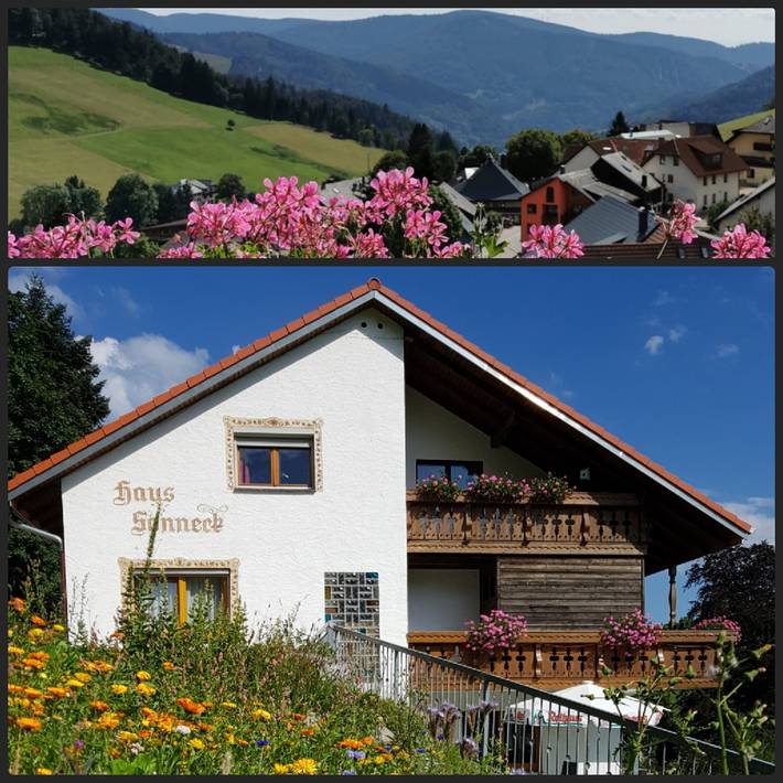 Ferienwohnung für 2 Personen, mit Garten in Todtnau