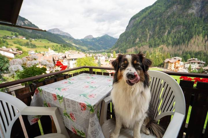 BnB für 2 Personen, mit Balkon und Garten, mit Haustier in den Dolomiten - 4