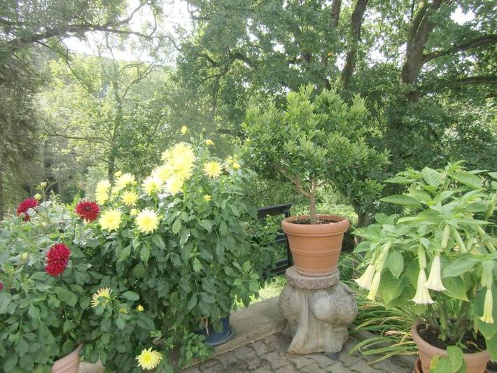 Ferienhaus für 2 Personen, mit Terrasse und Garten sowie Ausblick in Stolberg (Südharz) - 4