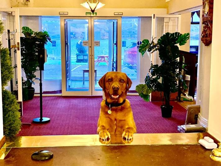 Gîte pour 2 personnes, animaux acceptés dans Kyle of Lochalsh - 4