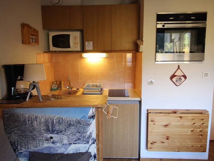 Ganzes Studio, Studio, Haustiere erlaubt - Blick auf Park 4 Pers. in La Norma, Villarodin-Bourget