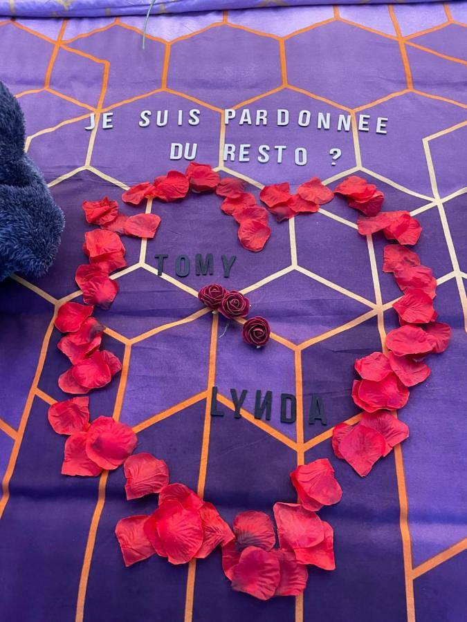 Location de vacances pour 2 personnes, avec sauna et jacuzzi dans Montignies Sur Sambre - 3