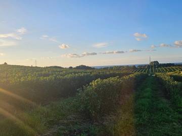 Ferieudlejning til 8 Personer i Nykøbing Sjælland, Odsherred, Billede 3