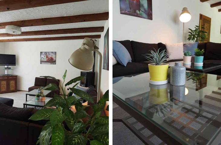 Villa pour 12 personnes, avec terrasse et jardin, animaux acceptés en Allemagne - 3