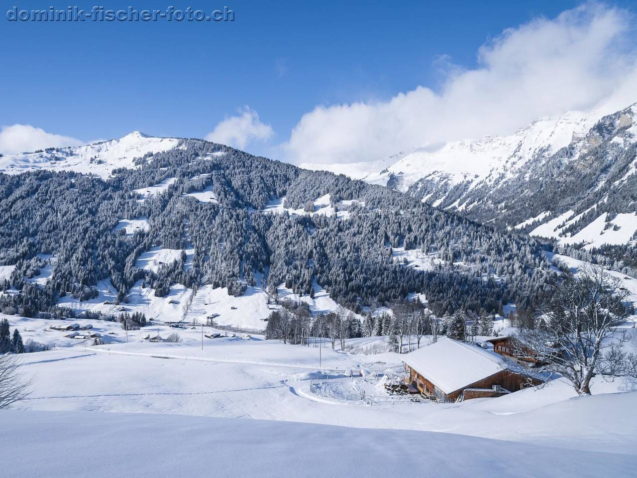 Ganze Wohnung, Am Bächli in Gsteig, Frutigen - Lenk - Adelboden