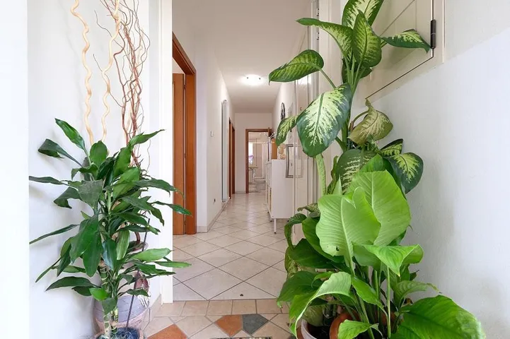 Apartamento de vacaciones para 4 personas, con terraza y jardín - 1