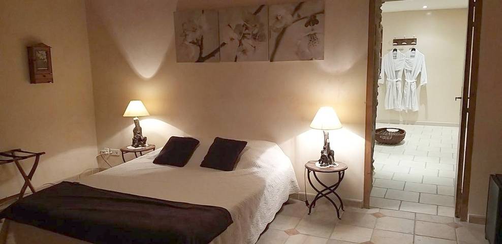 Location de vacances pour 2 personnes, avec jardin, animaux acceptés à Courthézon - 3