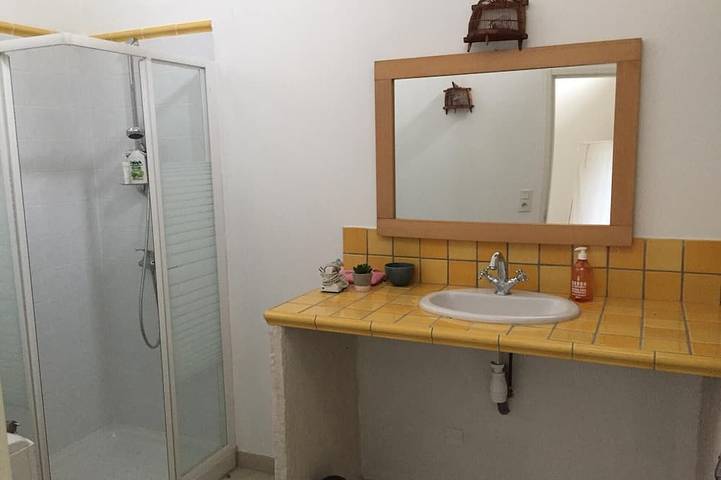 Gîte pour 8 personnes, avec jardin à Saint-Victor-de-Malcap - 4