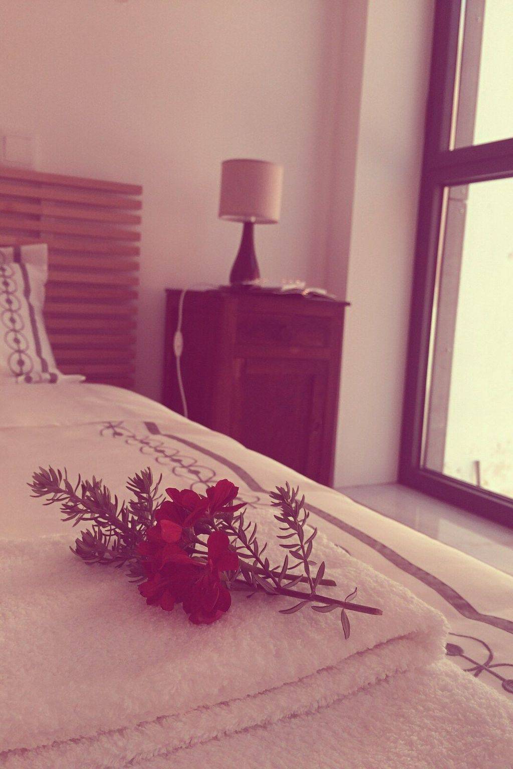 Haus im Hof 2 in Aveiro, District de Aveiro