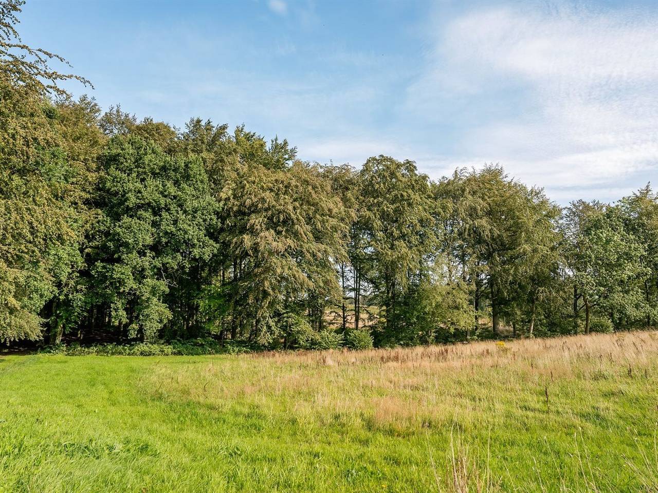 "Gjurgja" - 100m from the sea in Rothenkrug, Hadersleben