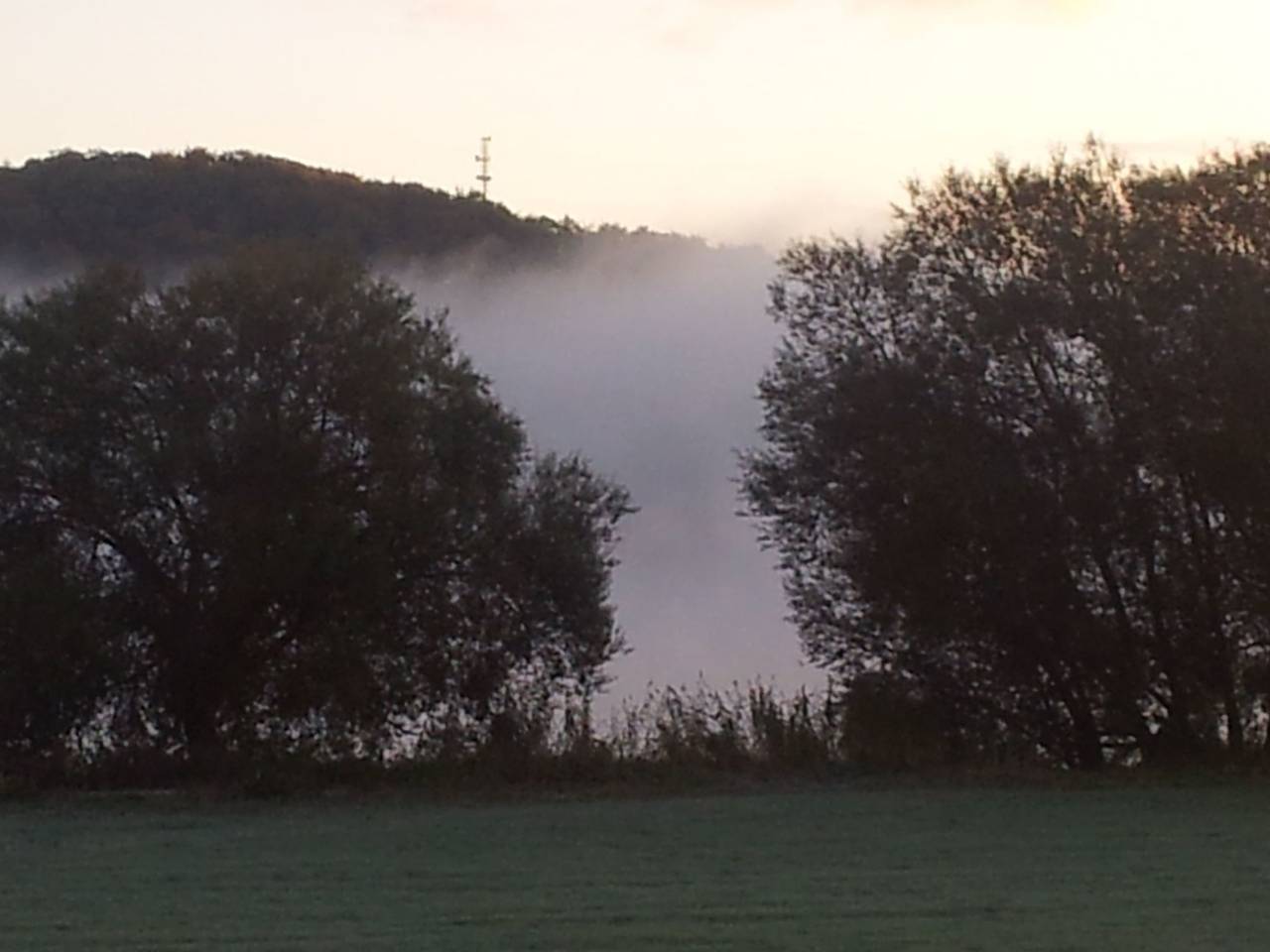 Elbufer in Marschacht, Landkreis Harburg