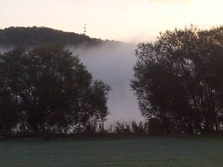 Elbufer in Marschacht, Landkreis Harburg