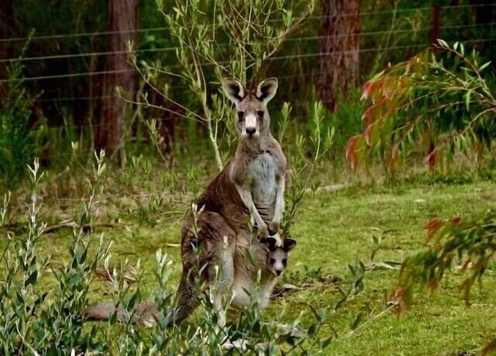 Ferienhaus für 7 Personen, mit Balkon und Garten - 1