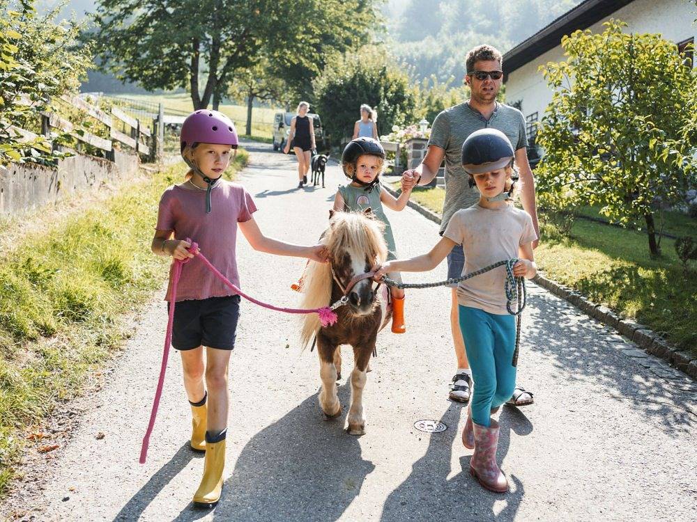 Ganze Ferienwohnung, Strublhof - Zum Bienen Sepp in Grünten, Rettenberg