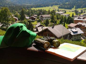 Gîte pour 2 personnes, avec vue et balcon dans Les Diablerets